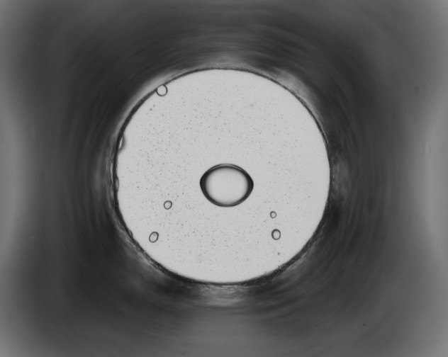 X0000086301150200704131604