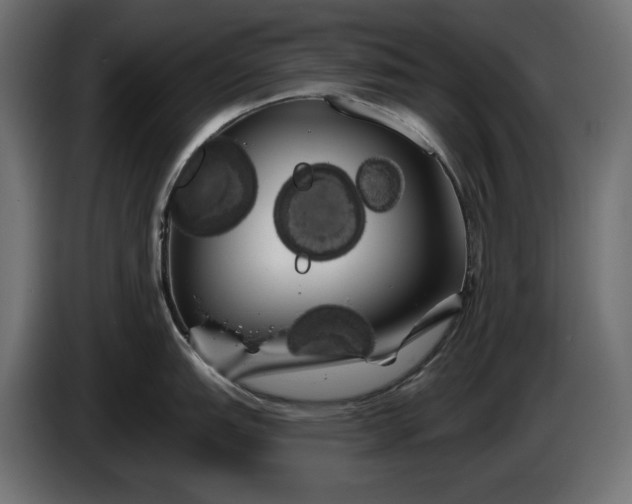 X0000086301151200704131604