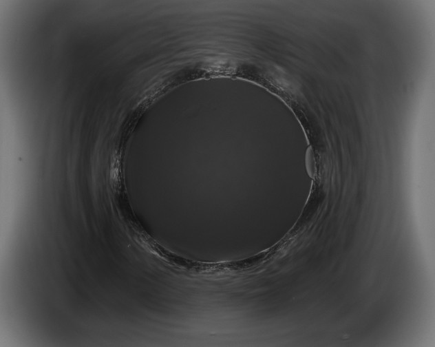 X0000086301154200704131603