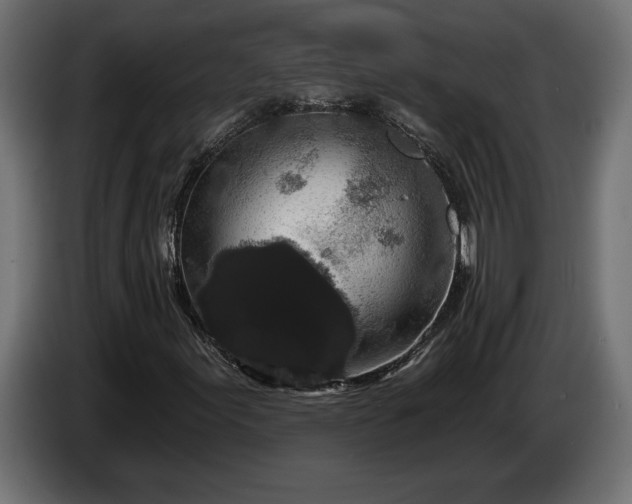 X0000086301155200704131603