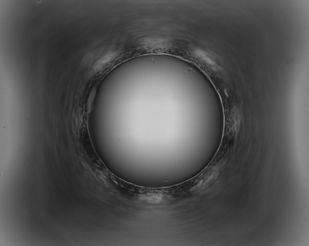 X0000086301157200704131603