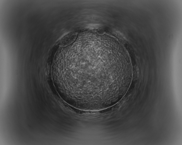 X0000086301158200704131603