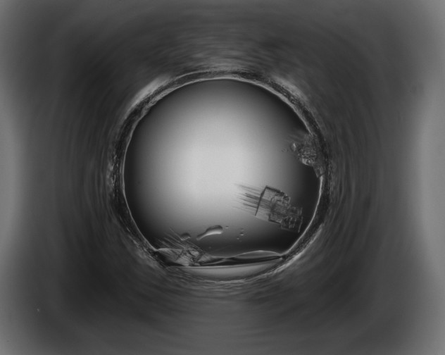 X0000086301163200704131603