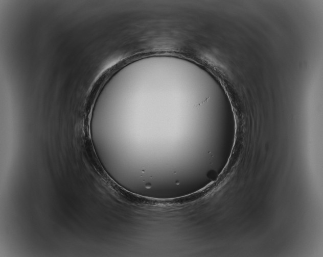 X0000086301166200704131603