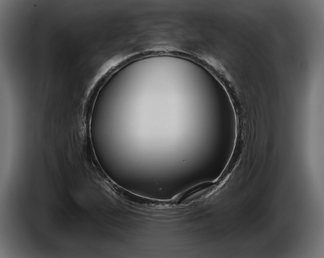 X0000086301167200704131603