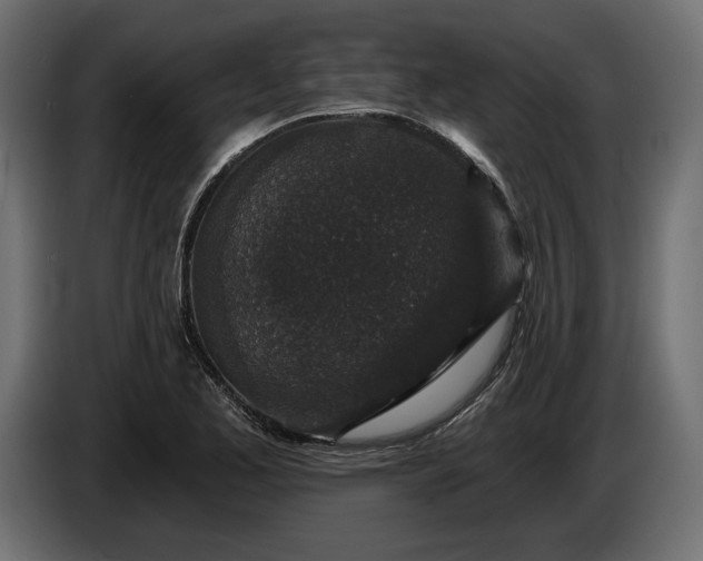 X0000086301173200704131603