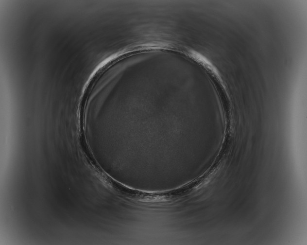 X0000086301174200704131603