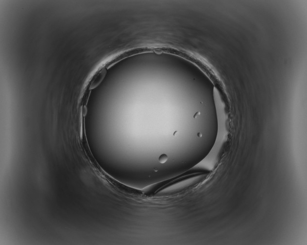 X0000086301175200704131603