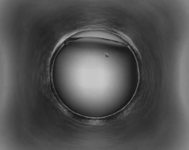 X0000086301176200704131603