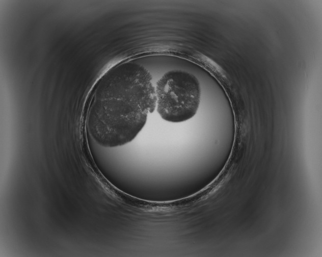 X0000086301178200704131603