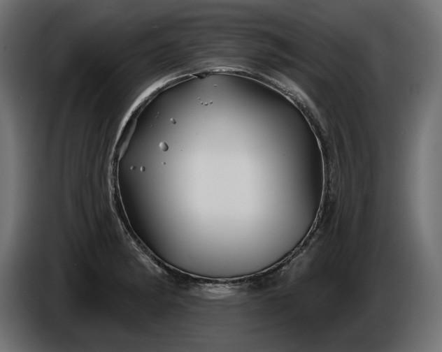 X0000086301182200704131603