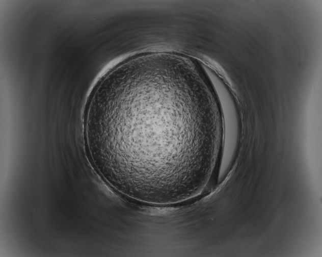 X0000086301184200704131603