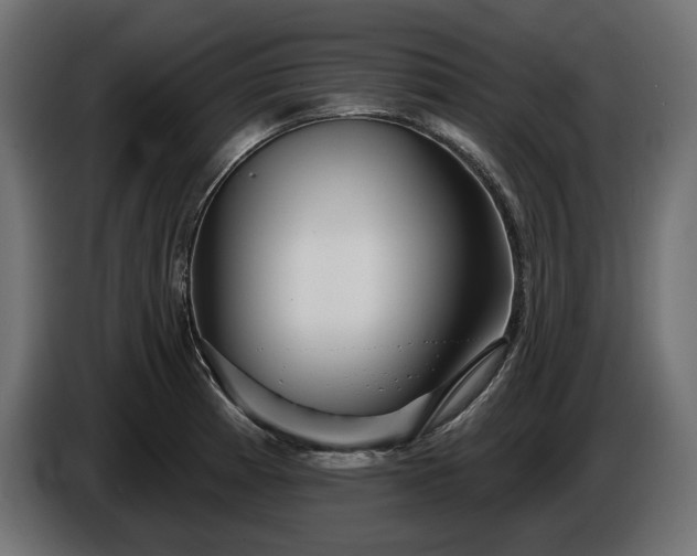 X0000086301185200704131603