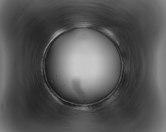 X0000086301186200704131603