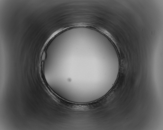 X0000086301187200704131603