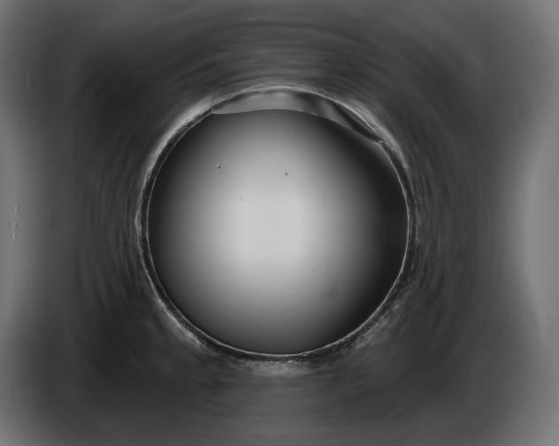 X0000086301189200704131603