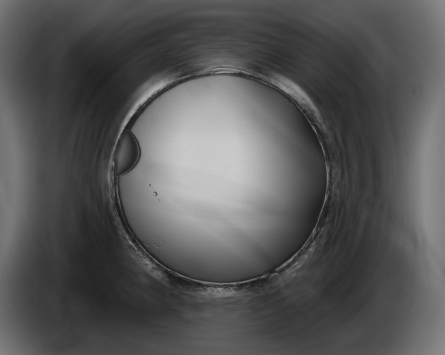 X0000086301190200704131603