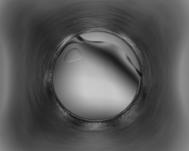 X0000086301193200704131603