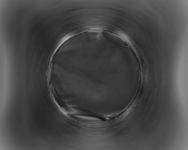 X0000086301194200704131603