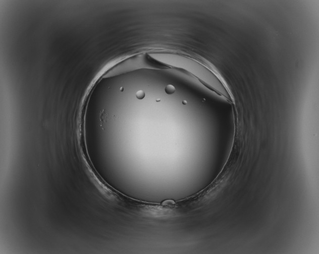 X0000086301195200704131603