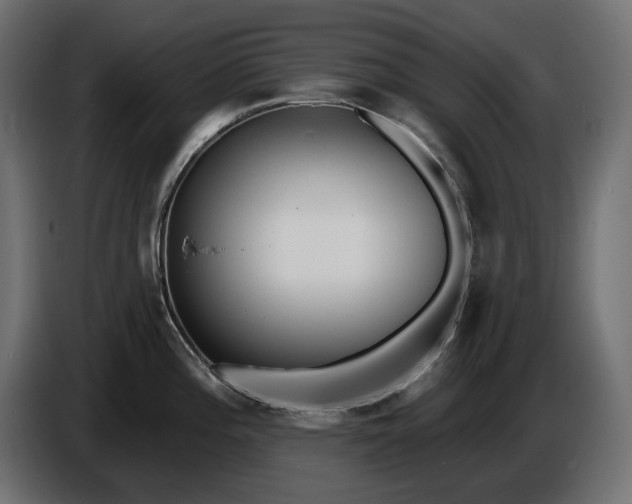 X0000086301196200704131603