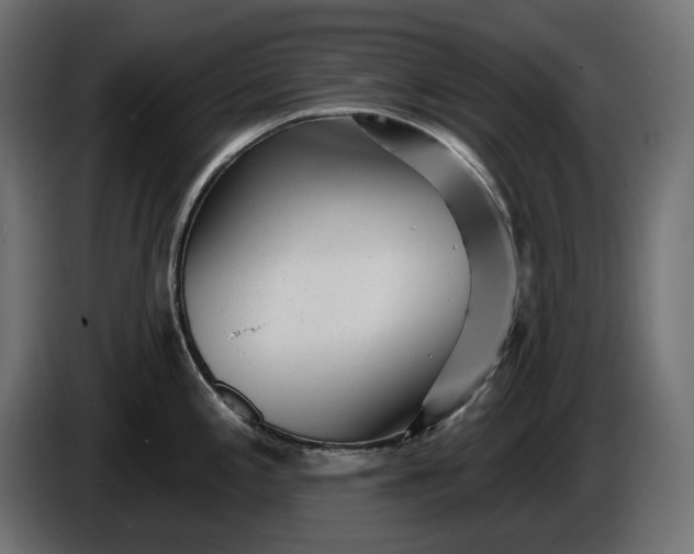 X0000086301197200704131603