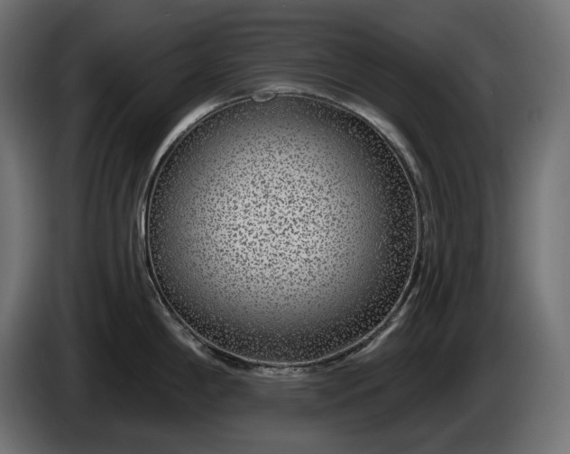 X0000086301198200704131603