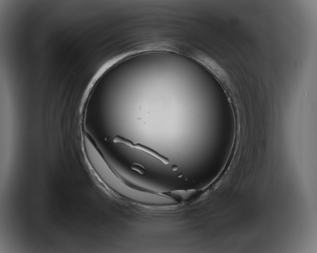 X0000086301200200704131603