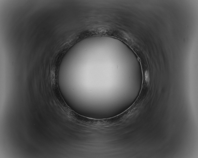 X0000086301203200704131602