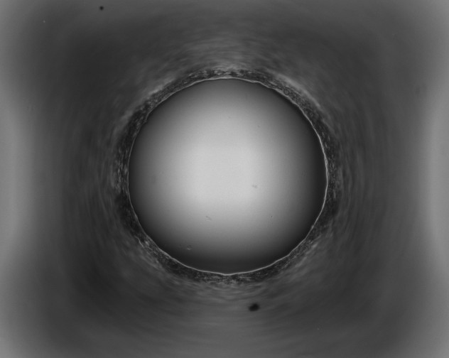 X0000086301207200704131602