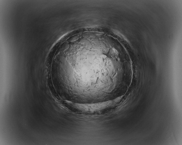 X0000086301208200704131602