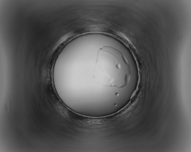 X0000086301211200704131602