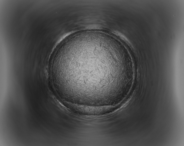 X0000086301212200704131602