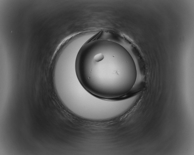 X0000086301214200704131602