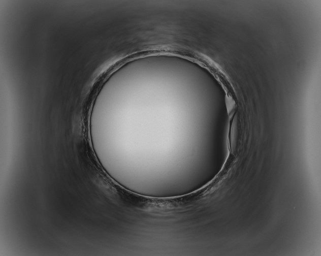 X0000086301215200704131602