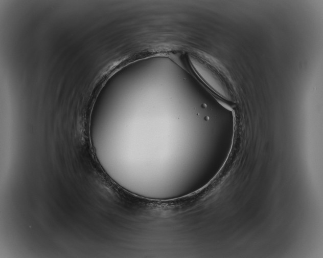 X0000086301217200704131602