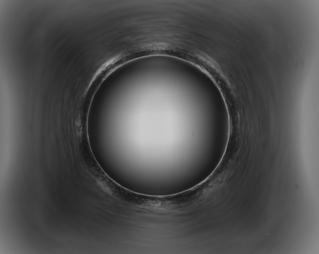 X0000086301218200704131602