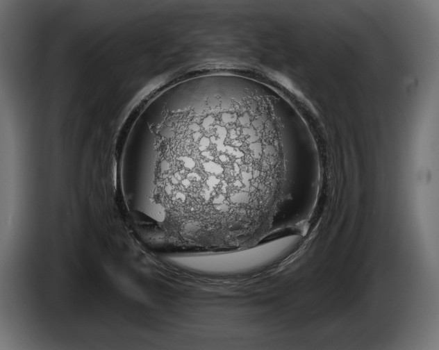 X0000086301221200704131602