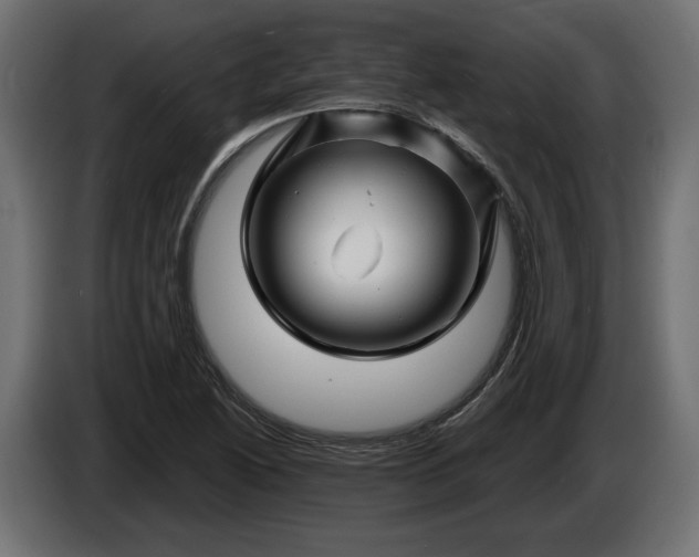 X0000086301222200704131602