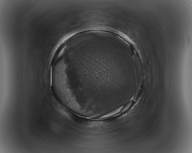 X0000086301223200704131602