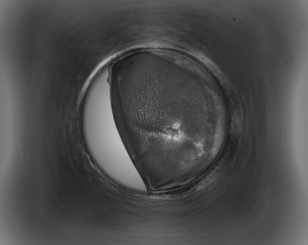 X0000086301224200704131602