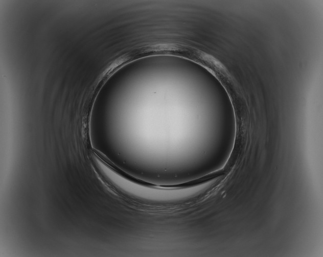 X0000086301225200704131602