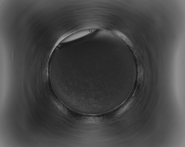 X0000086301226200704131602