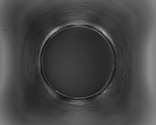 X0000086301229200704131602