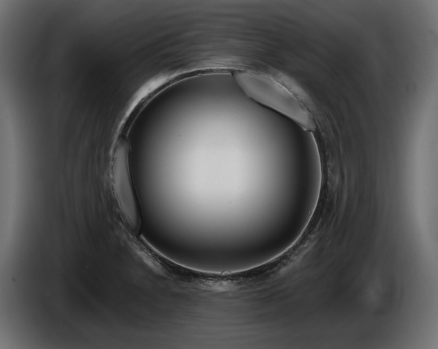 X0000086301230200704131602