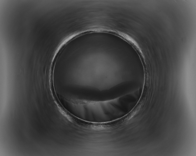 X0000086301231200704131602