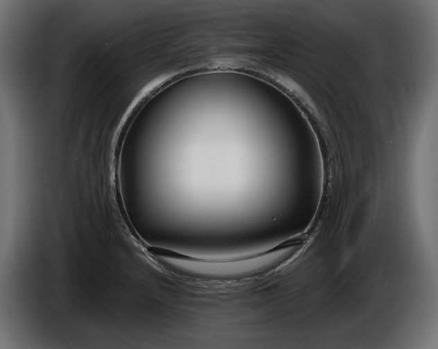 X0000086301232200704131602