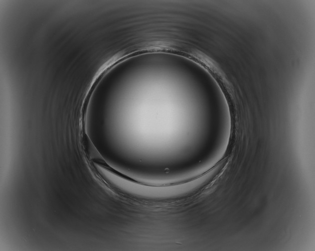 X0000086301234200704131602