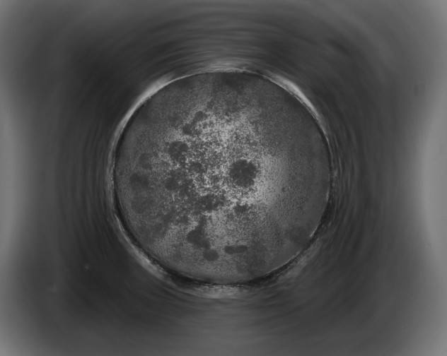 X0000086301235200704131602