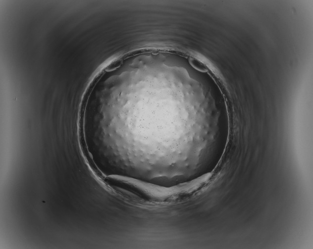 X0000086301237200704131602